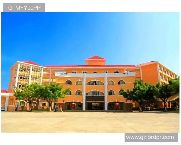 杨军独家分享篮球心得与技巧助你提升球技的全面指南